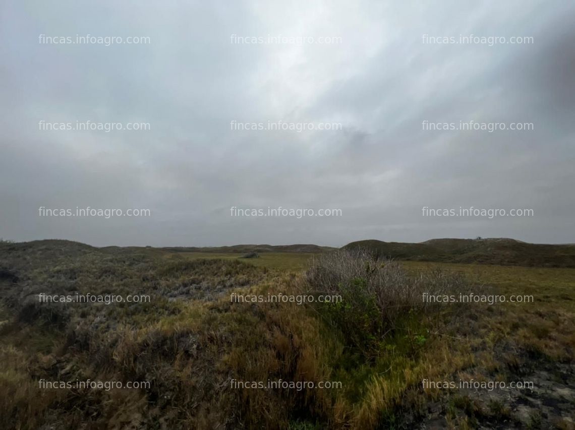 Fotos de A la venta se rematan 12 hectáreas en Paiján Trujillo