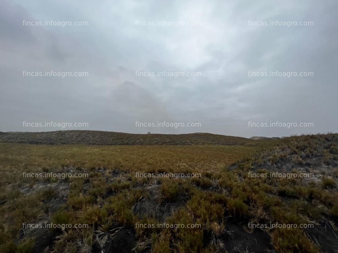 Fotos de A la venta se rematan 12 hectáreas en Paiján Trujillo