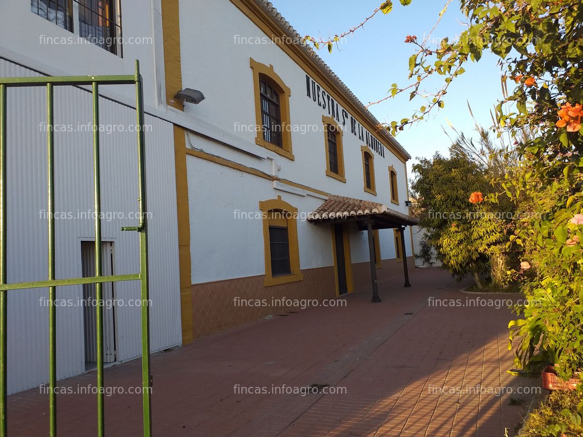 Fotos de A la venta finca para celebraciones y eventos en Motril