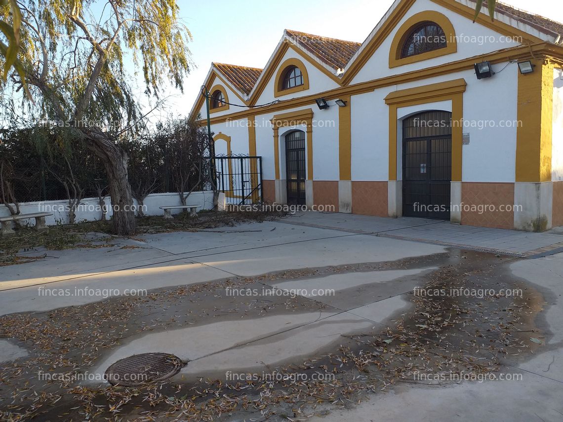 Fotos de A la venta finca para celebraciones y eventos en Motril