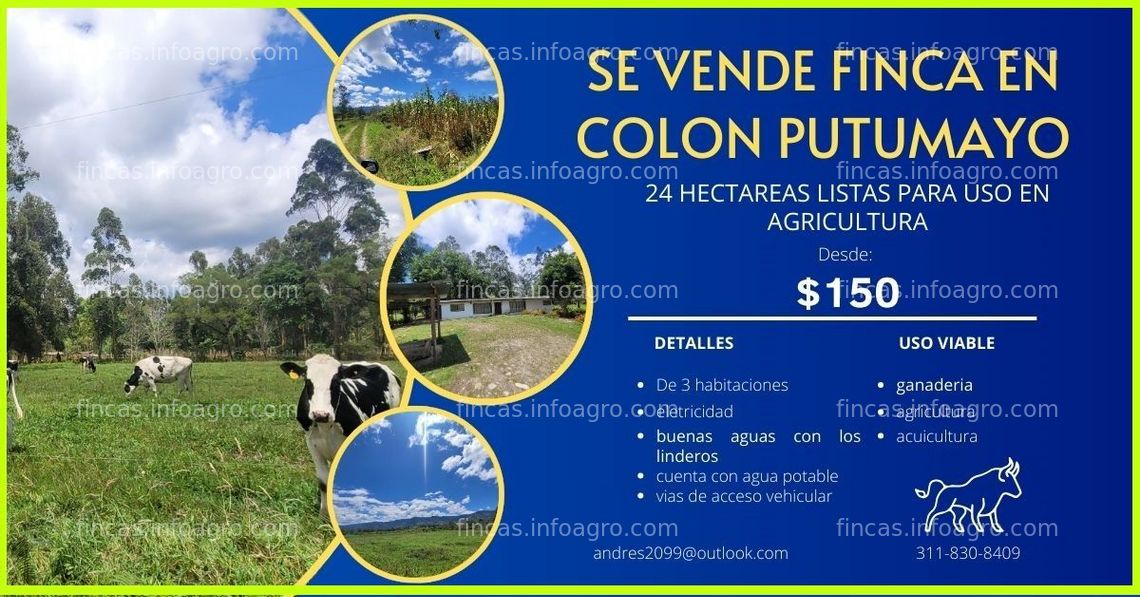 Fotos de Vendo hermosa finca especializada en agricultura, ideal para aquellos que deseen iniciar o expandir su negocio agrícola.