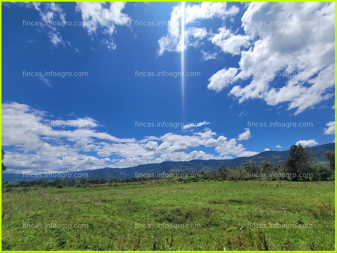 Fotos de Vendo hermosa finca especializada en agricultura, ideal para aquellos que deseen iniciar o expandir su negocio agrícola.