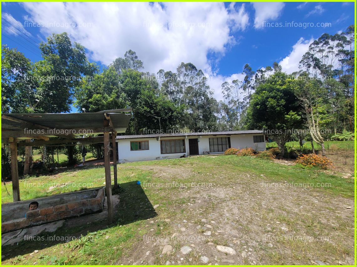 Fotos de Vendo hermosa finca especializada en agricultura, ideal para aquellos que deseen iniciar o expandir su negocio agrícola.