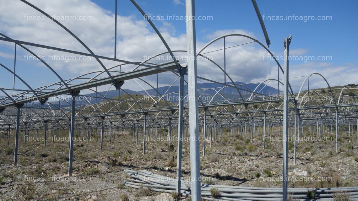 Fotos de A la venta Invernaderos en las barreras de Motril y carchuna  Terreno abancalado con estructura de invernadero en Las Barreras (Carchuna)