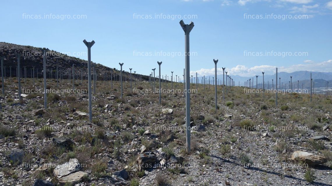 Fotos de A la venta Invernaderos en las barreras de Motril y carchuna  Terreno abancalado con estructura de invernadero en Las Barreras (Carchuna)