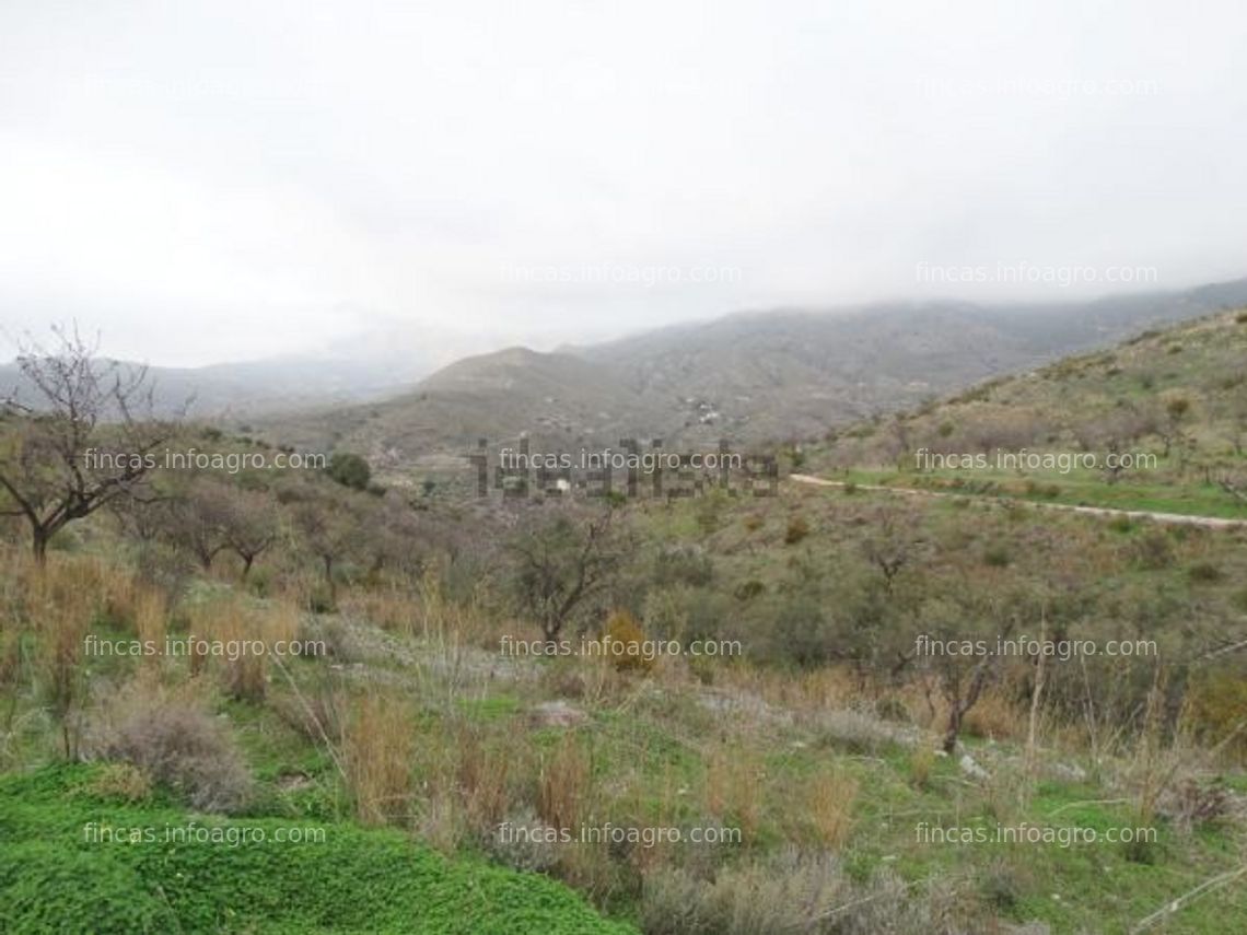 Fotos de En venta  Cortijo en Los Tablones s/n 