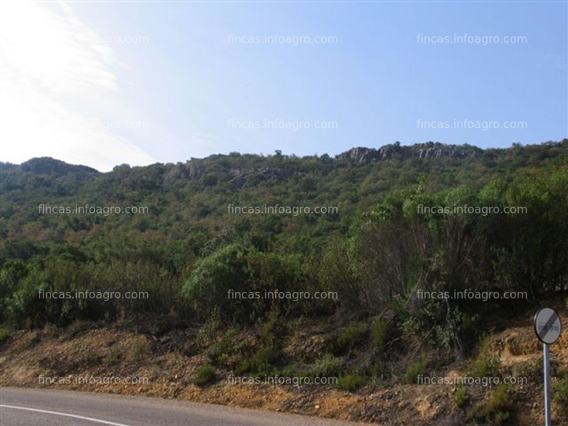 Fotos de A la venta coqueta finca de recreo y caza