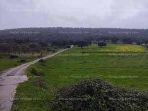 En alquiler FINCA PARA PASTOS 