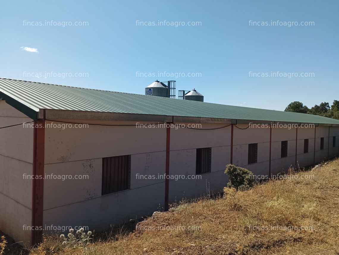 Fotos de En venta  O  nave ganadera CON PASTOS, en dos municipios en Cuenca Valdemoro y Valdemorillo-Sierra. 750m, almacén, vallada 6000m, agua, junto a la carretera