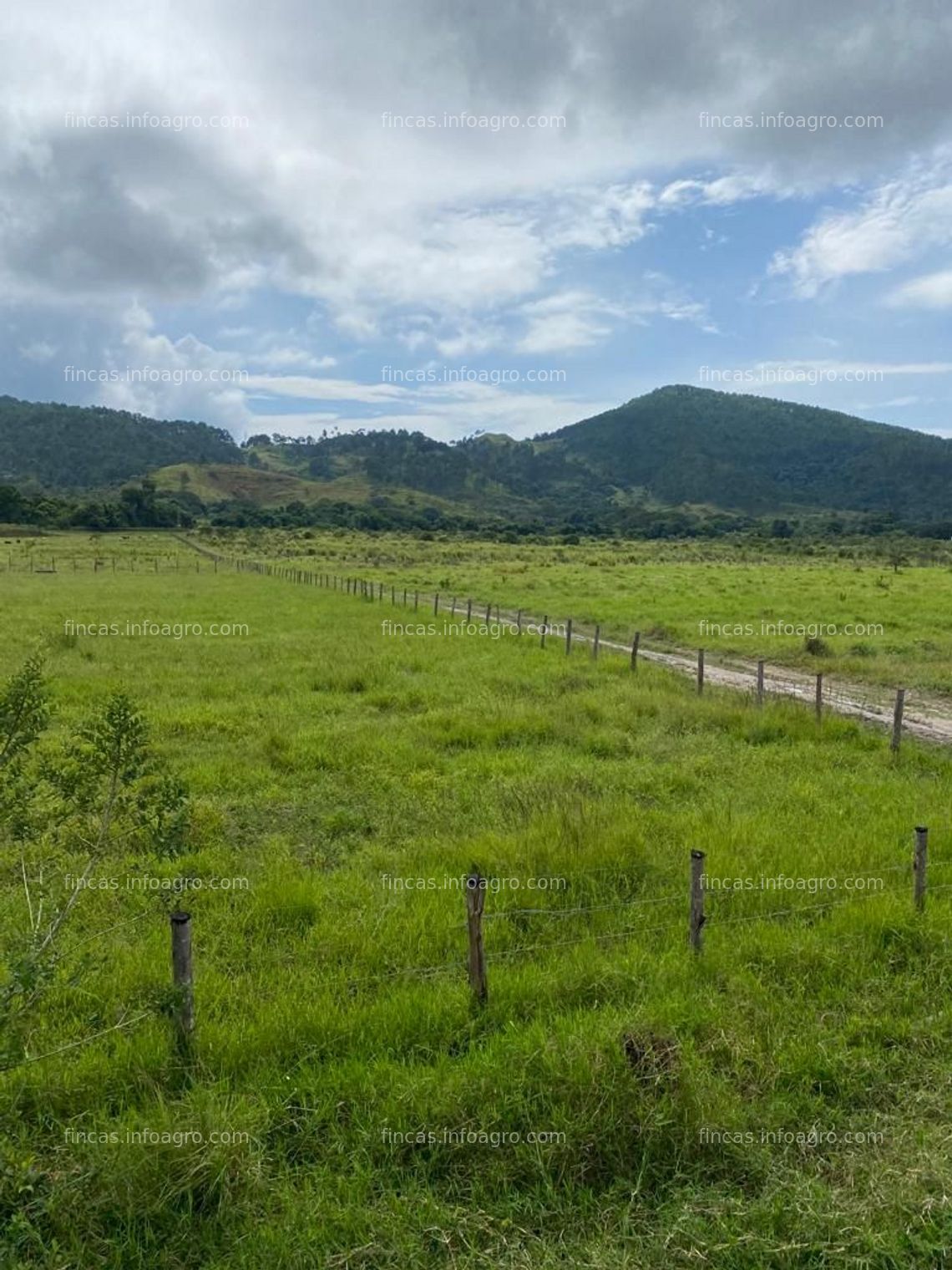 Fotos de En venta  Finca para Ganado y cultivo