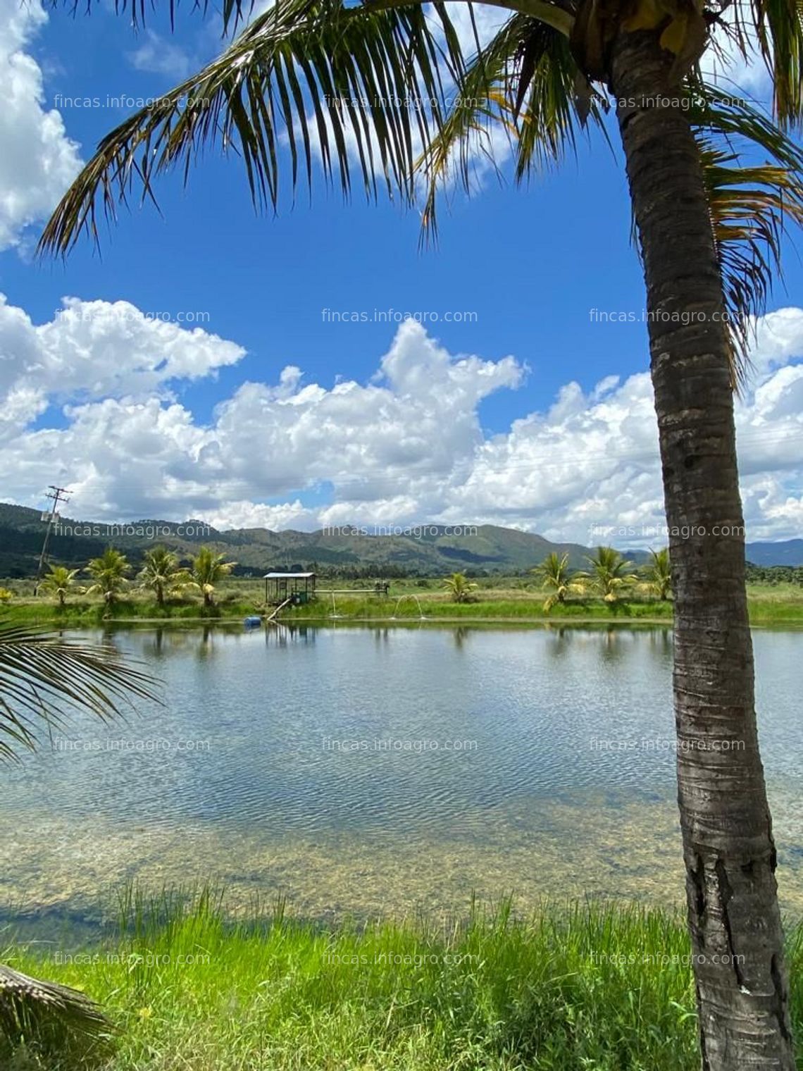 Fotos de En venta  Finca para Ganado y cultivo