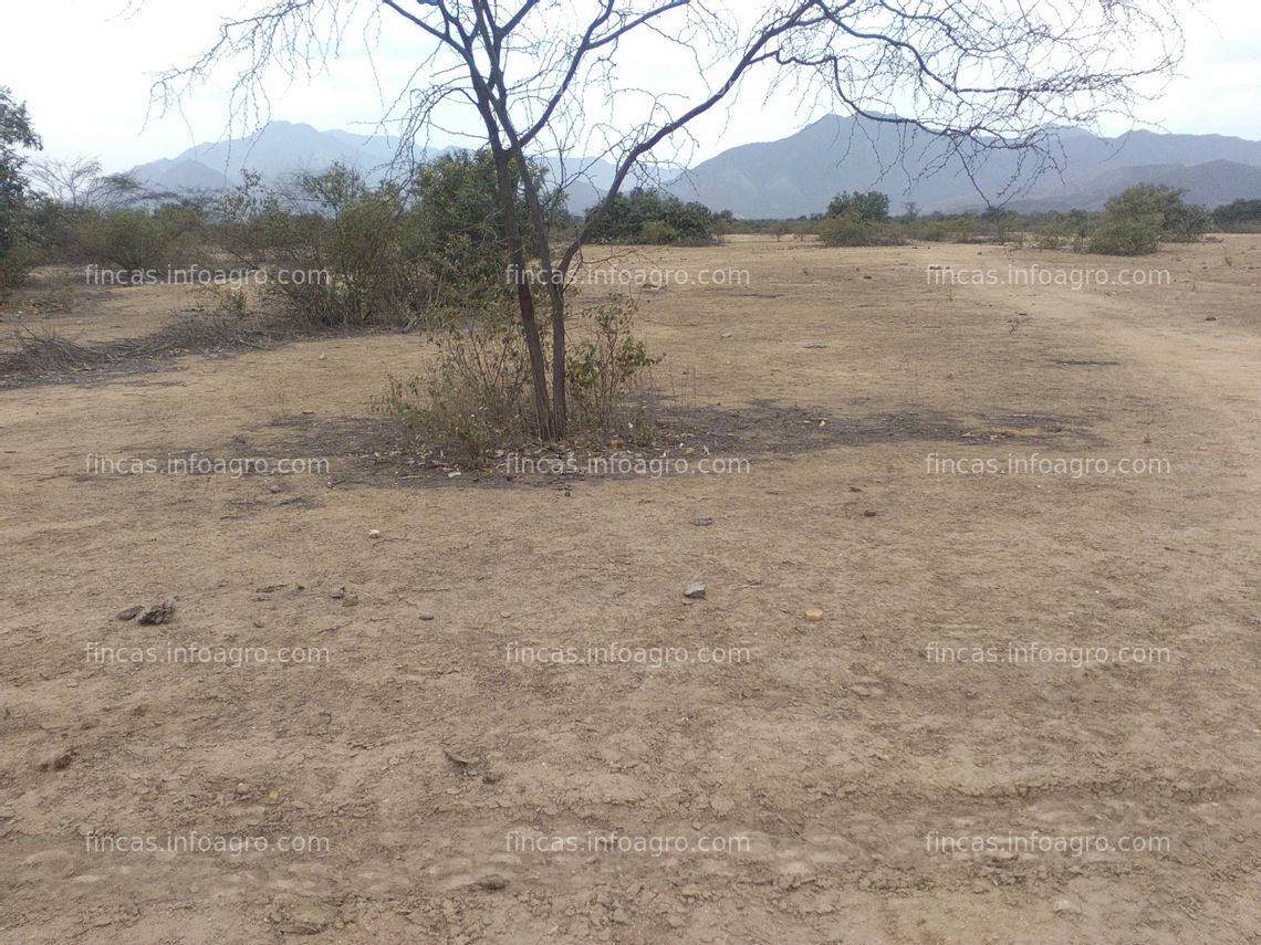 Fotos de En venta  terreno agrícola