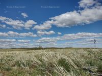 Fotos de En venta  campo ganadero en san rafael, mendoza