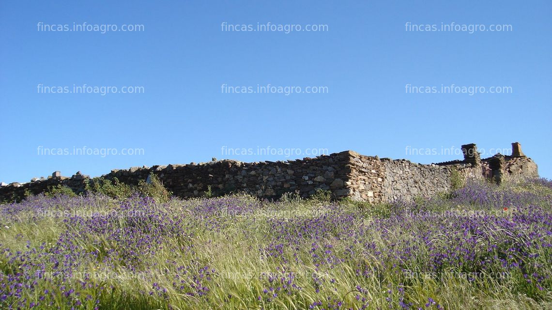 Fotos de A la venta finca 