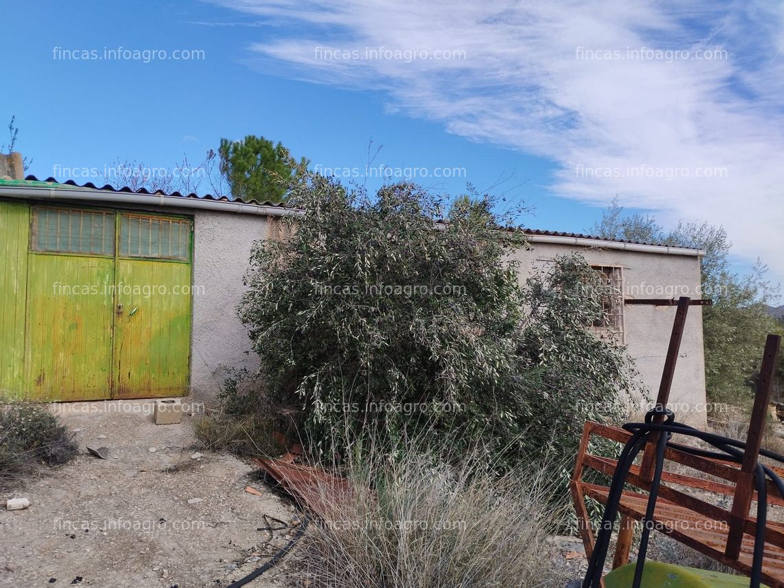 Fotos de En venta  Atractivo terreno rústico con olivos y casa para reformar en Casinos