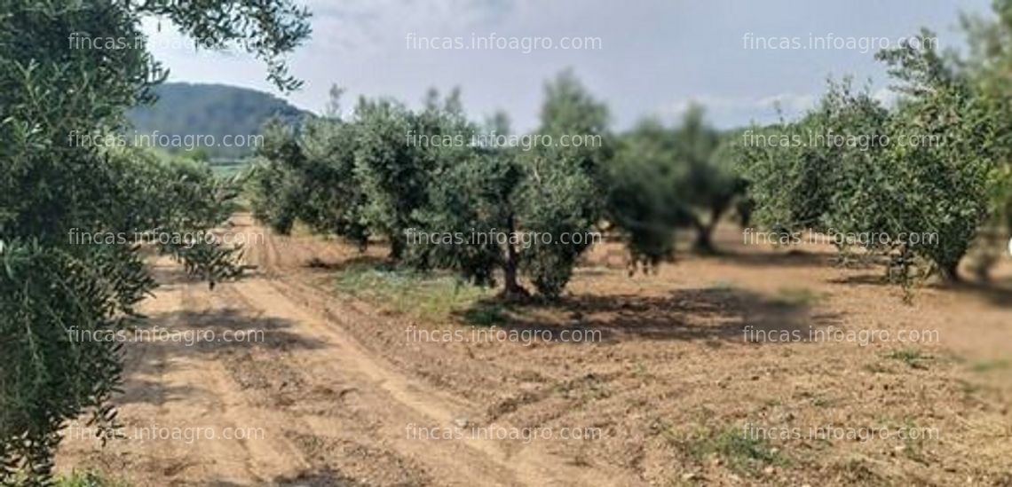 Fotos de Vendo Nave / granja en Botarell