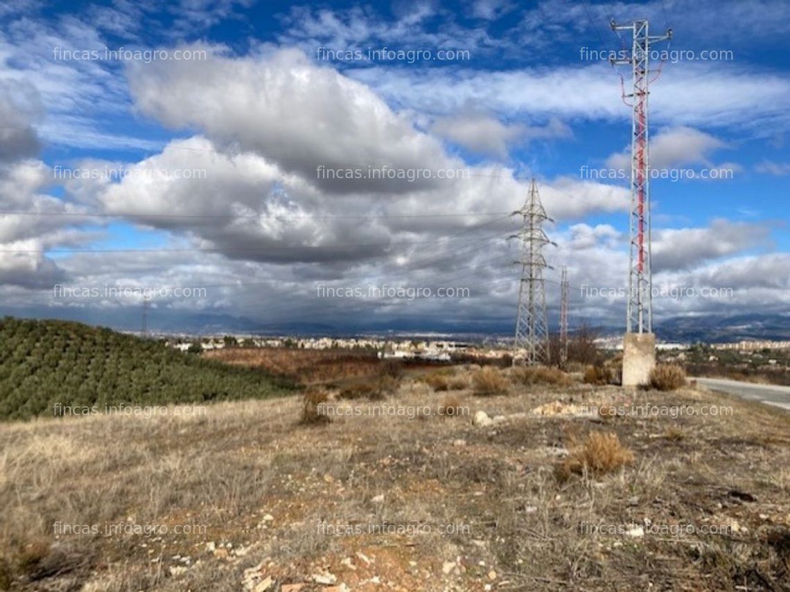 Fotos de Se vende Terreno urbanizable de 180.000 m2 , en (Dilar - Granada) . PLANTACION DE ALMENDROS