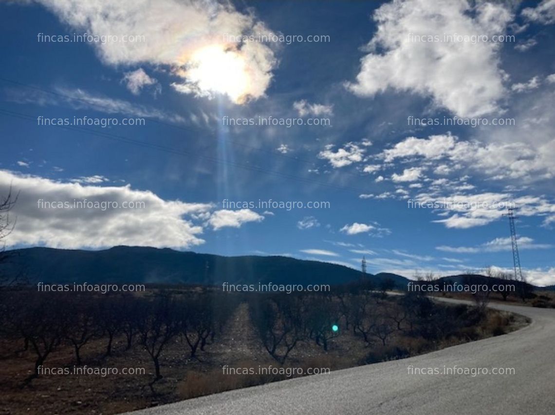 Fotos de Se vende Terreno urbanizable de 180.000 m2 , en (Dilar - Granada) . PLANTACION DE ALMENDROS