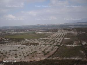 En venta  terreno en Campo Sol, Mazarrón