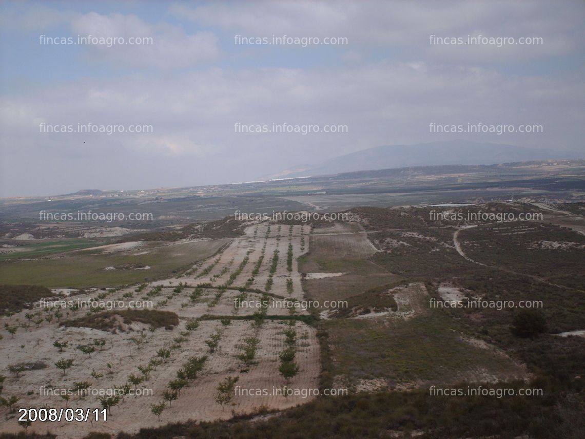 Fotos de En venta  terreno en Campo Sol, Mazarrón