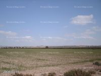 Fotos de Vendo terreno rústico en La Alcanara