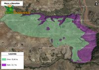 Fotos de En venta  Finca rustica de 116,40 hectáreas de OLIVAR en Loja.
