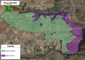 Vendo Finca rustica de 116,40 hectáreas de OLIVAR en Loja.