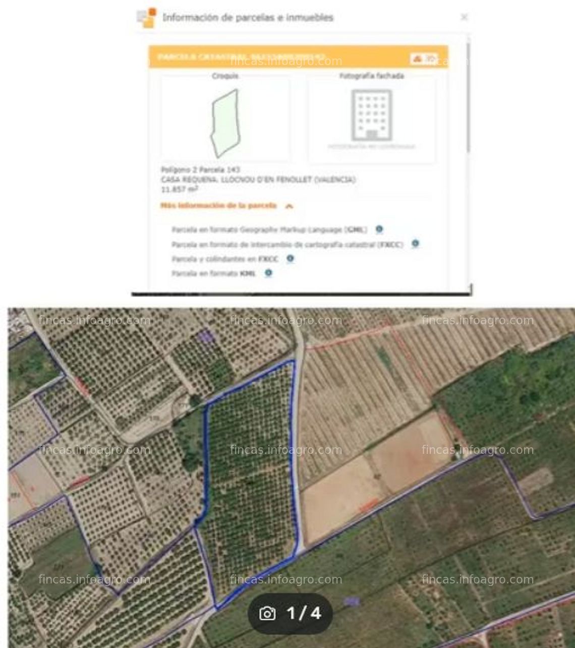 Fotos de En venta  PARCELA DE NARANJOS EN REGADÍO - LLOCNOU DE FENOLLET