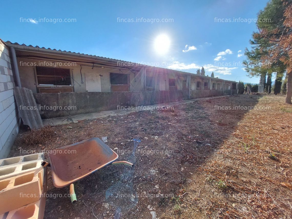 Fotos de En venta  Granja de cerdos para engorde.