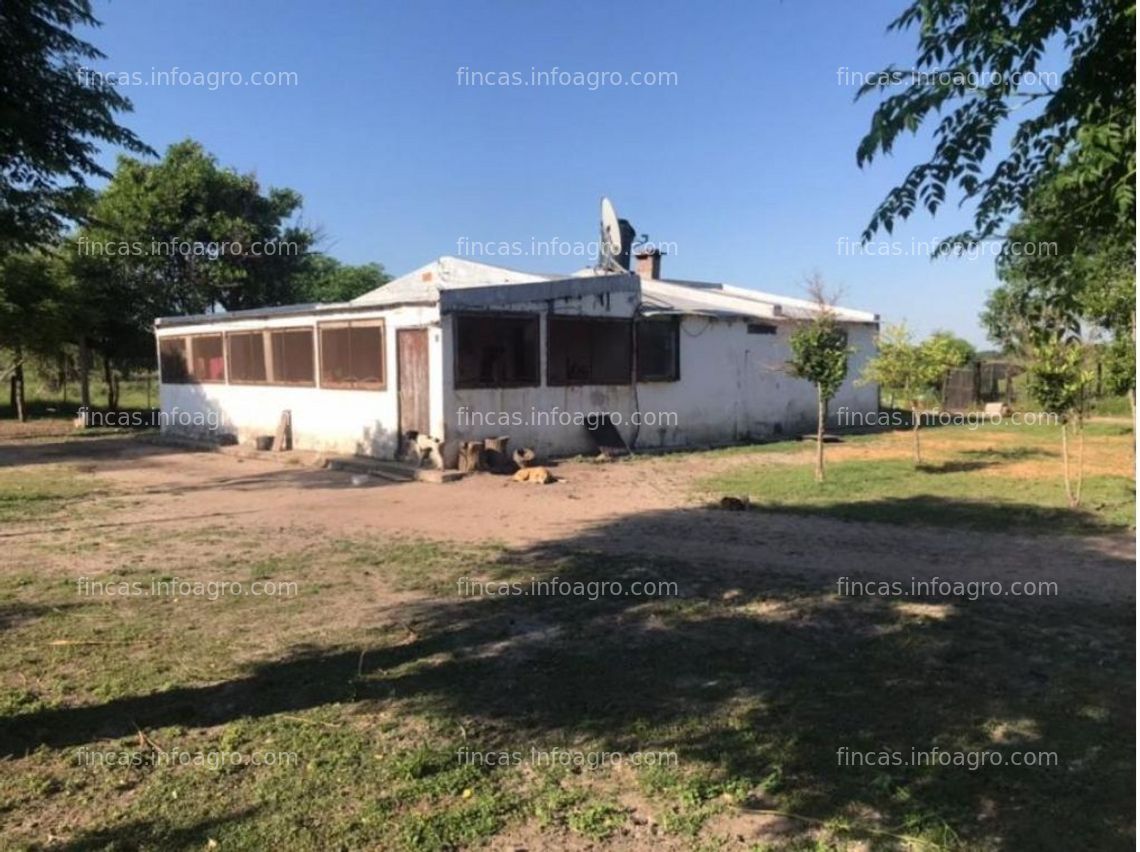 Fotos de En venta  106 has en Selvas del Río de Oro. Provincia de Chaco. 