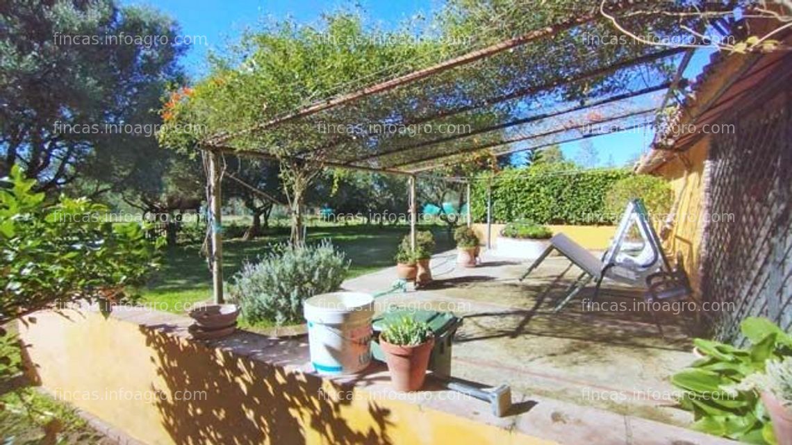 Fotos de A la venta Andalucia, Costa de la Luz, Benalup - Finca con 2 naves en venta