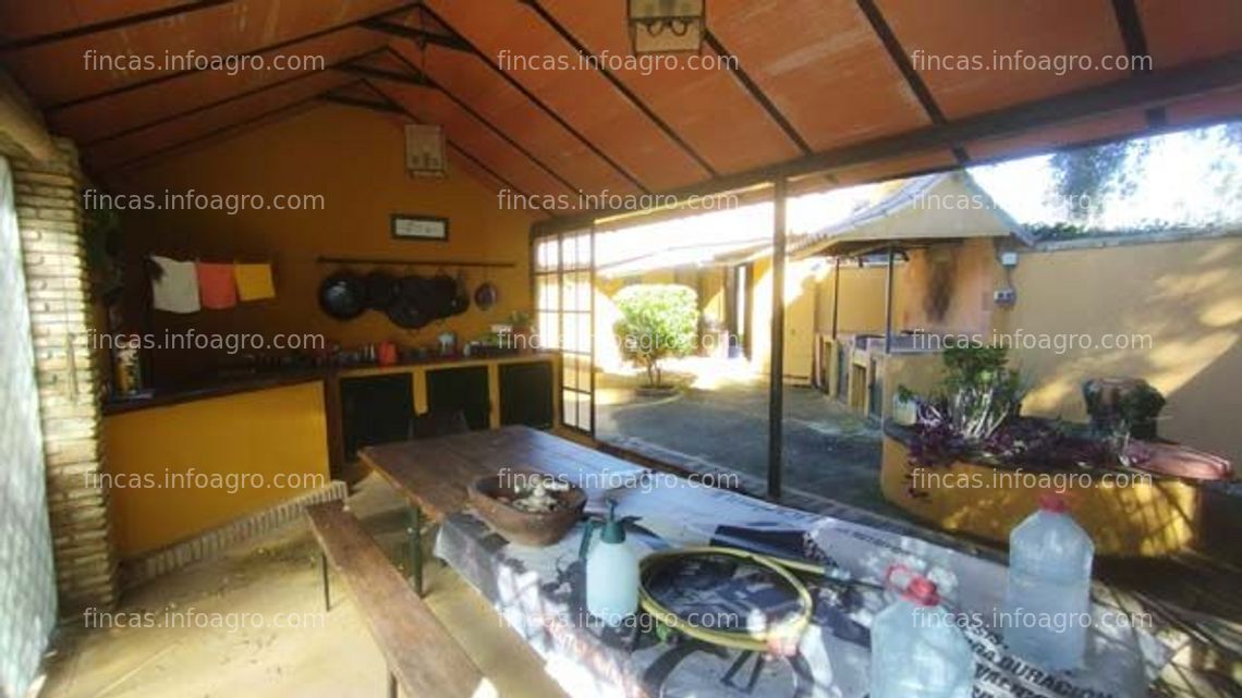 Fotos de A la venta Andalucia, Costa de la Luz, Benalup - Finca con 2 naves en venta