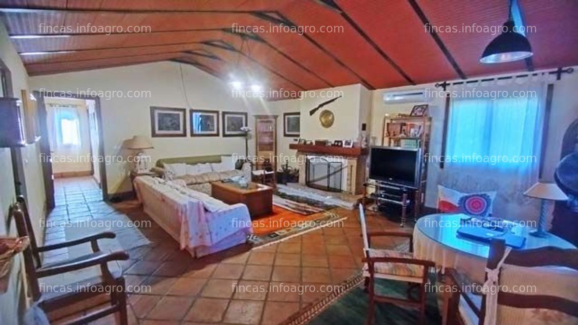 Fotos de A la venta Andalucia, Costa de la Luz, Benalup - Finca con 2 naves en venta