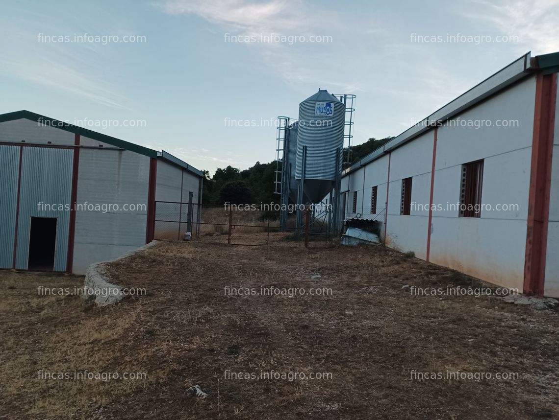 Fotos de Vendo Nave ganadera con pastos en dos municipios, Cuenca