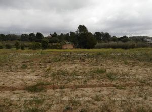 A la venta Finca rústica en Les Borges del Camp