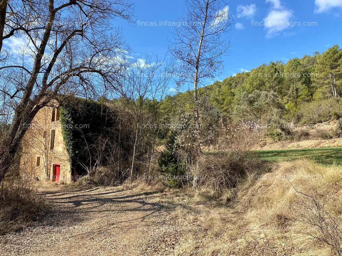 Fotos de A la venta Finca en La Noguera