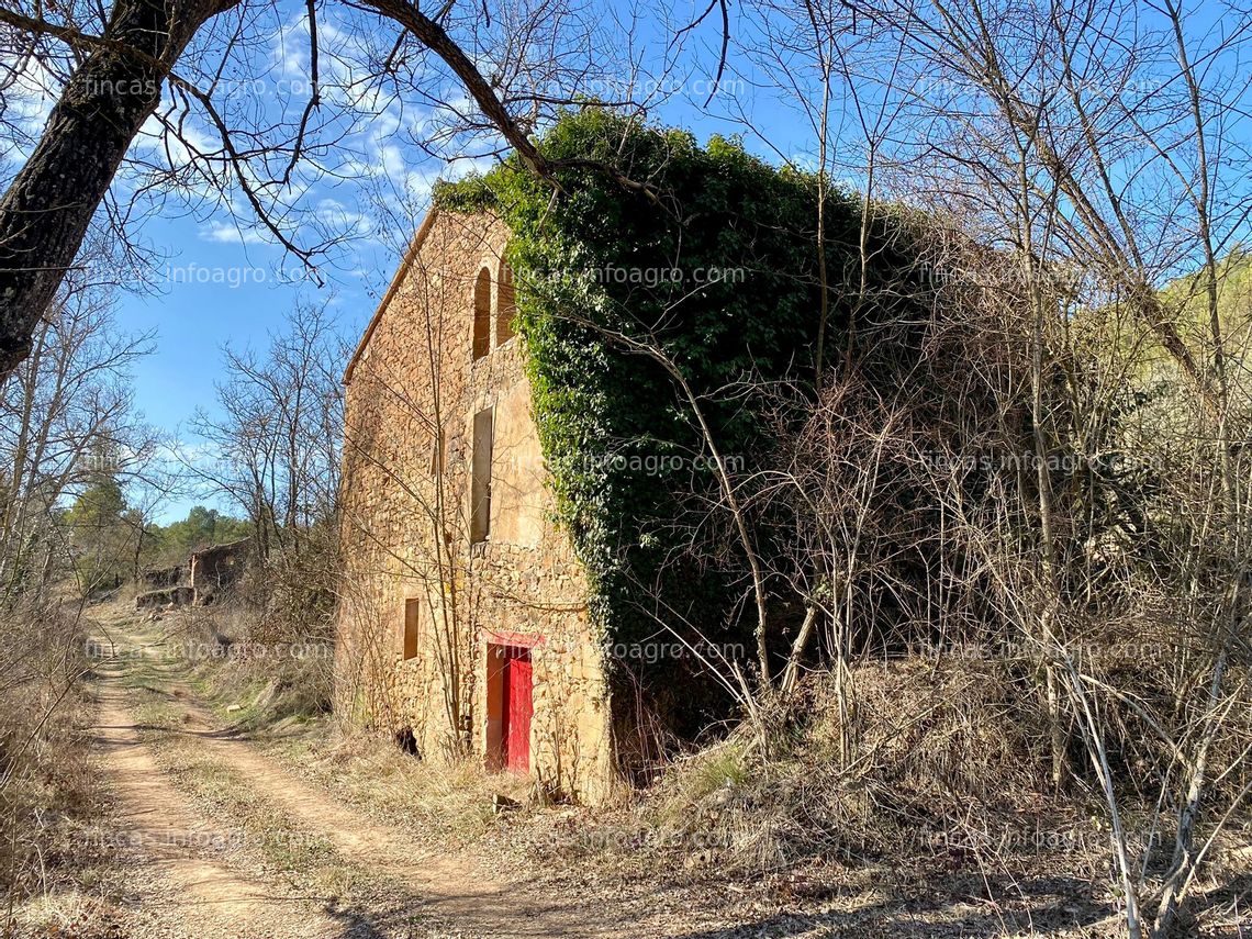 Fotos de A la venta Finca en La Noguera