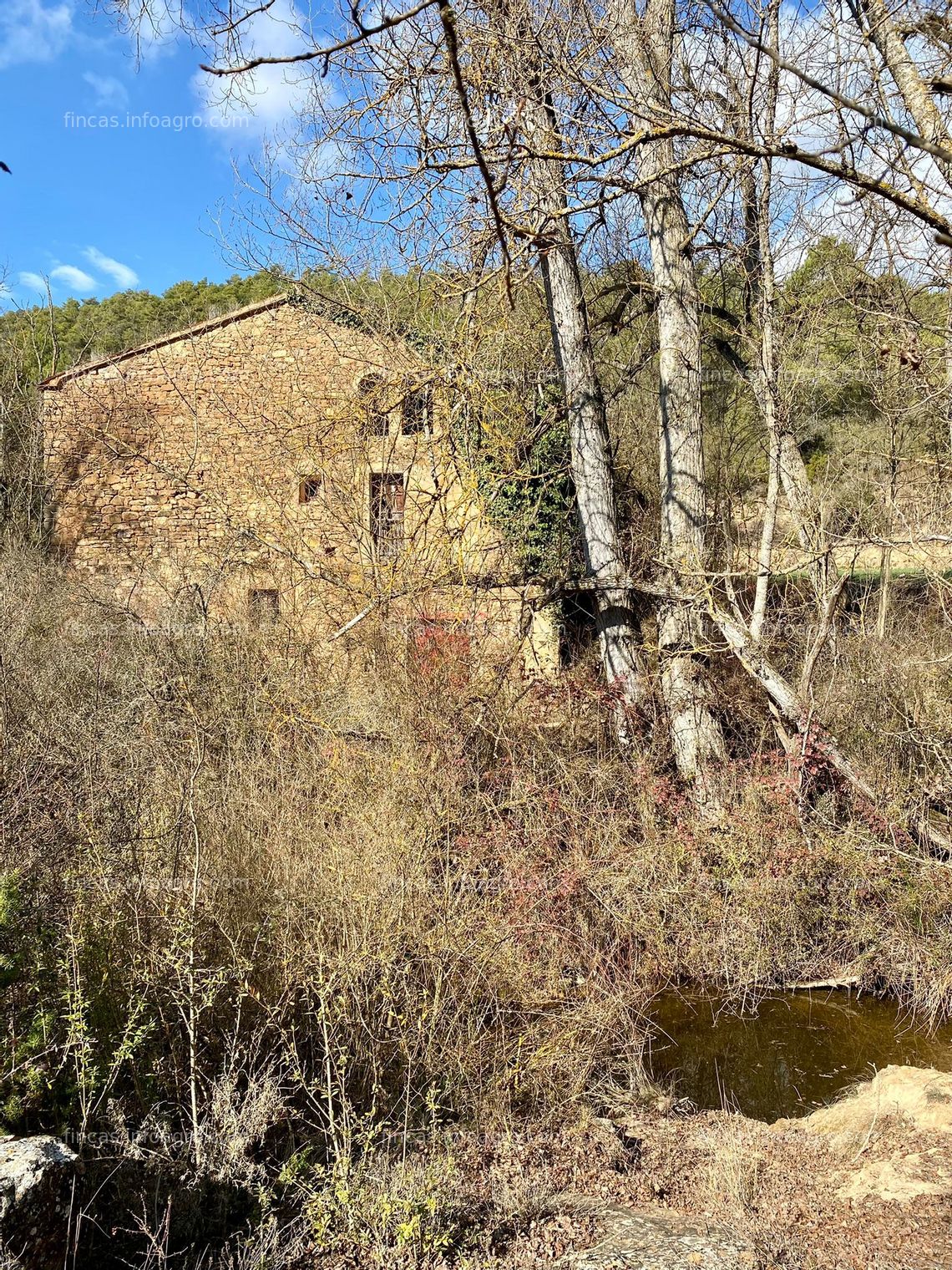 Fotos de A la venta Finca en La Noguera