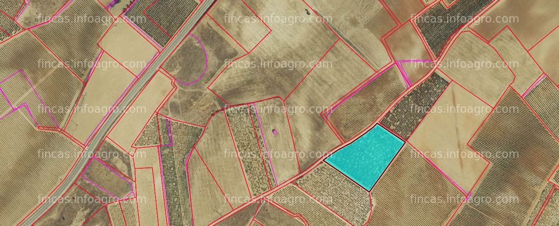 Fotos de En venta  tierras rusticas entre La Seca y Serrada provincia de Valladolid