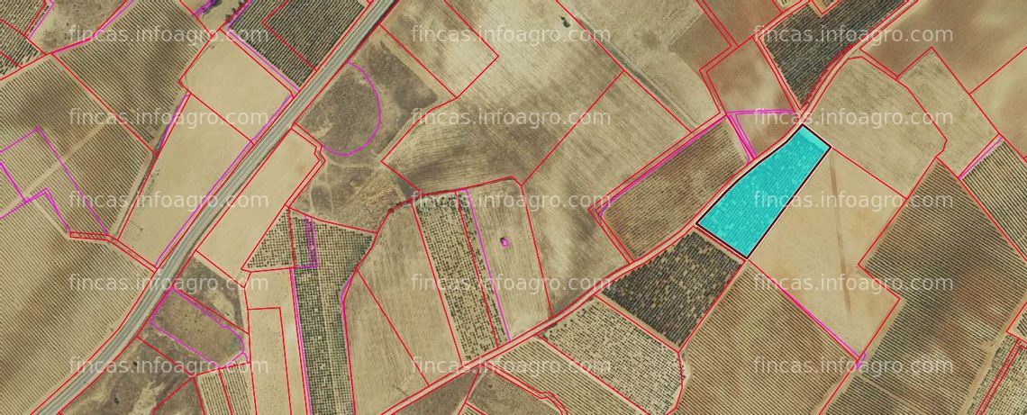 Fotos de En venta  tierras rusticas entre La Seca y Serrada provincia de Valladolid