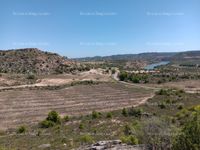 Fotos de Se compra Fincas de regadío y secano