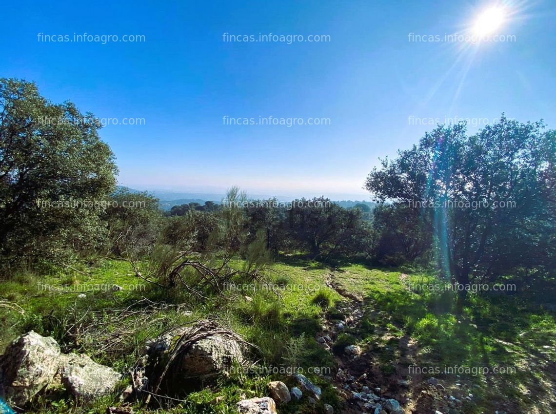 Fotos de Se vende Finca rústica en Navalagamella