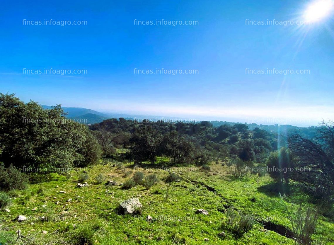 Fotos de Se vende Finca rústica en Navalagamella