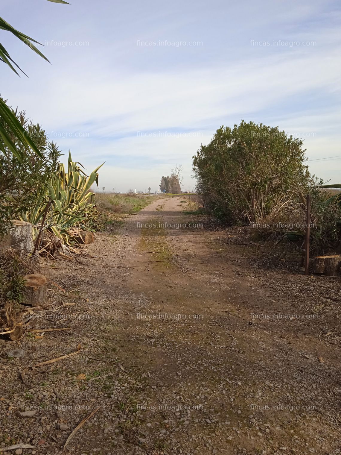 Fotos de Se vende Casa de campo con invernadero.