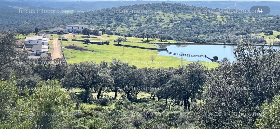 Fotos de Se vende Gran finca señorial a 57 Km. de Sevilla