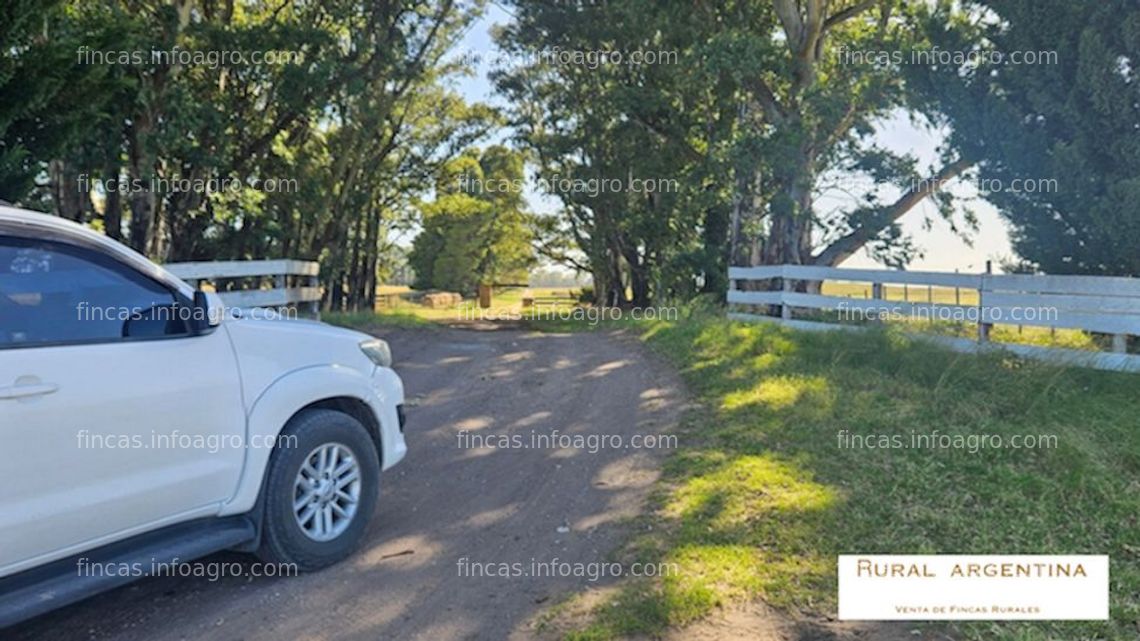 Fotos de En venta  Finca agricola y Ganadera 500 has. en Argentina- Información en España