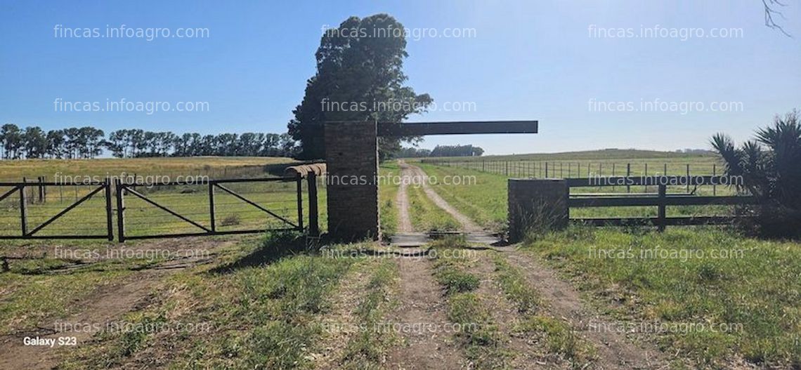 Fotos de En venta  Finca agricola y Ganadera 500 has. en Argentina- Información en España