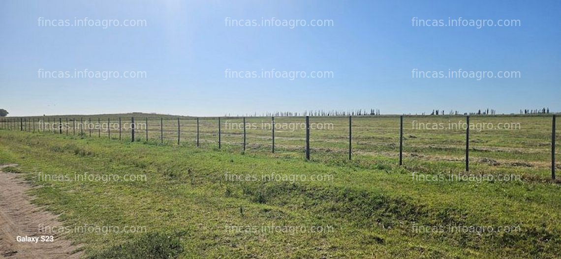 Fotos de En venta  Finca agricola y Ganadera 500 has. en Argentina- Información en España