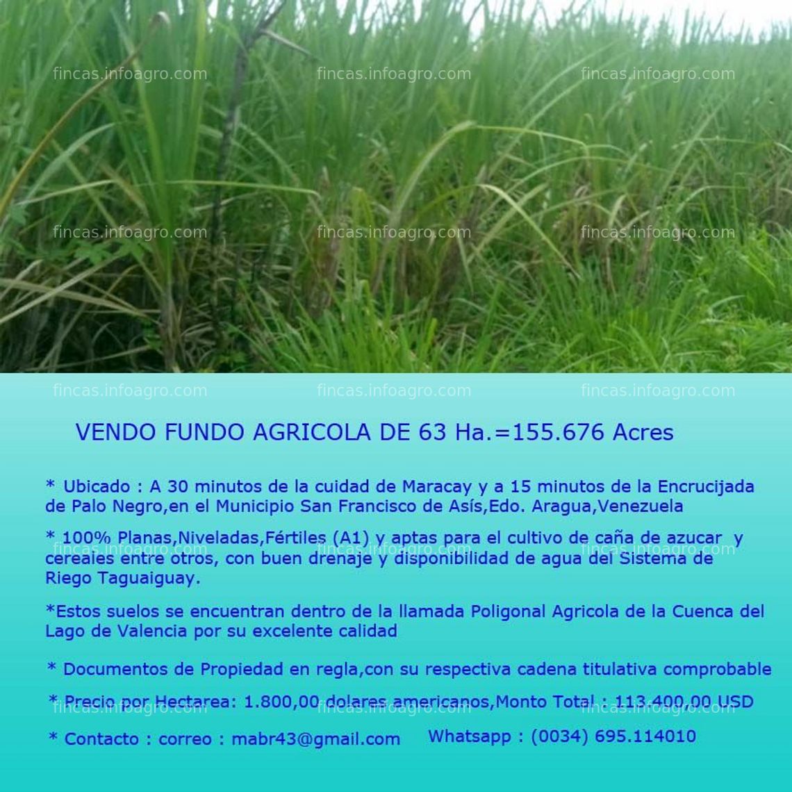 Fotos de En venta  Parcela rústica para caña de azúcar o cereales 