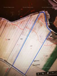 Fotos de A la venta  VIÑEDOS Y PARCELAS DE REGADIO Y SECANO RIBERA DE DUERO